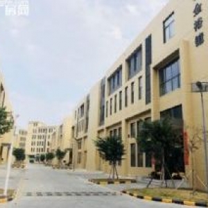 佛山三龙湾高端创新集聚区 700−1万方厂房 大石化龙石碁 非中介
