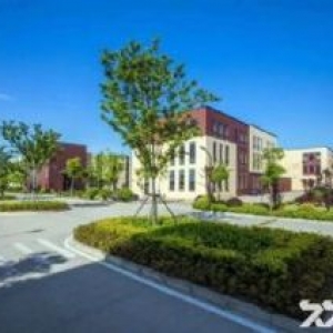 买断式红本产权 700−1万方厂房 大石化龙石碁 非中介