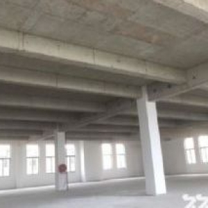 临近中德工业服务区 优质厂房 700−1万方厂房 大石化龙石碁 非中介