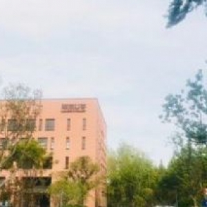 重点打造电子产业片区 15万方产业园   承接罗村禅桂产业  非中介