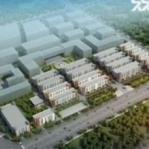 (非中介)出售全新50年产权独门独院厂房，总占地300亩