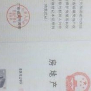 番禺区化龙镇中心厂房出售