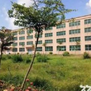 南沙地铁口50亩标准出售，现建8000方