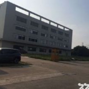 大路边22000平方有证厂房出售