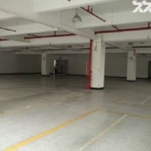 萝岗云埔工业区独立厂房急售