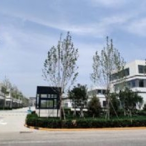 北辰开发区800㎡厂房出租，手续齐全，政府产权