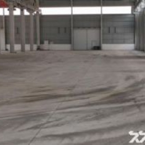 挑高11米 可喷漆 独门独院 带天车 有环评