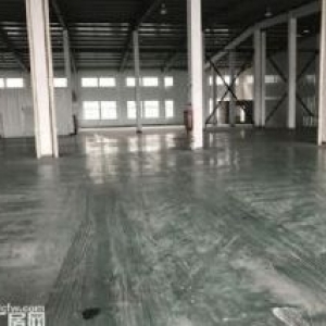 新仓4000平方单层厂房，500平起租，可做印刷，包装，五金，食品，造粒，注塑，