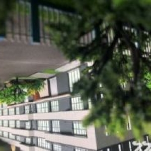 嘉兴平湖经济开发区稀缺厂房2129平50年产权厂房有环评可注册开发商直售