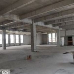 标准厂房 跨度大 钢混结构 50年产权 有产证 可按揭