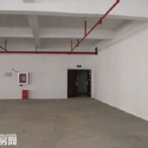 面积段按需定制，国际化标准厂房