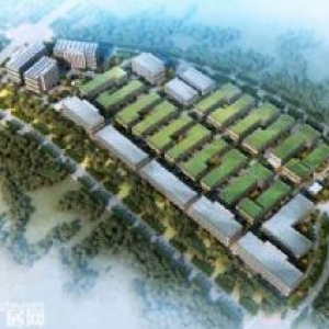 出售金华西独栋3层标准厂房，办三证，50年产权，非中介