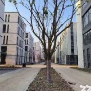 (出售)义乌后宅核心板块全新标准厂房火热招商，50年独立产权，最小面积500起售