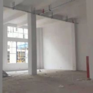 单一大平层厂房一手开发商