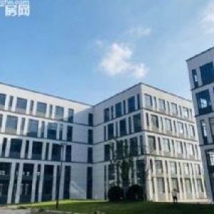 新区产业园独栋、分层厂房开发商直售  国土 50年 一房一证