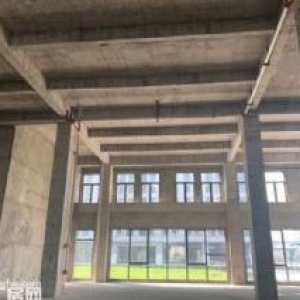 新区，单层1100平厂房出售，国土50年产权
