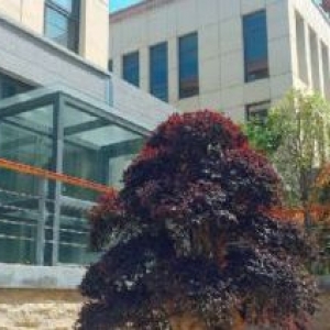 一企一栋！惠山堰桥核心地带710平独栋办公别墅出售