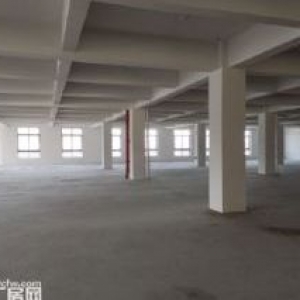 出租滨海一楼1000平楼上2300平可分租电大已腾空适合鞋子等