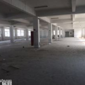 楼上2100㎡适合各种轻工行业电60电梯两吨