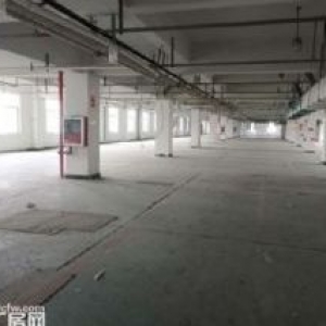 厂房出租龙湾金海1楼900平方，高5米，有行车，有货梯，电大，适合多行业