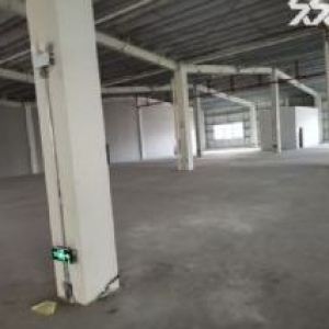 滨海厂房出租龙湾滨海十五路800平米适合五金，机械，模具，阀门等生产行业或仓储等