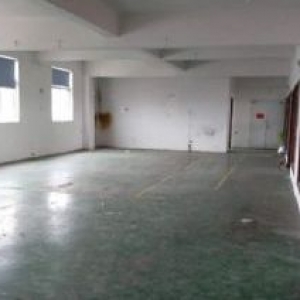 厂房出租龙湾滨海十五，一楼310平米，电大，有货梯，适合多行业