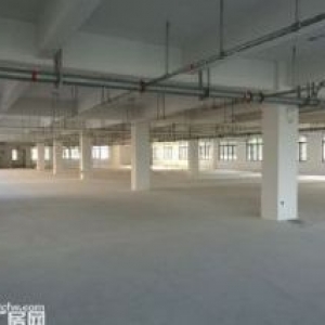 上汇工业区4楼2000平方出租