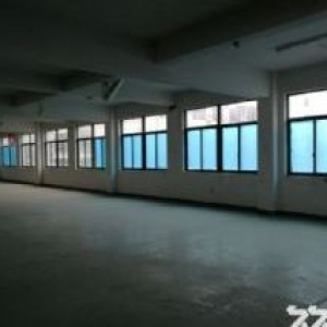 藤桥服饰园工业区独门独院2100平方标准厂房出租