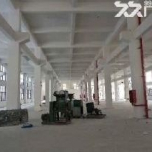 泽雅工业区厂房1楼900平方米