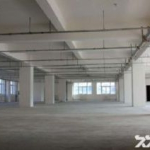 仙岩厂房出租 一个层面750