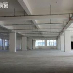 泽雅戈恬工业区厂房出租2500平 可分租