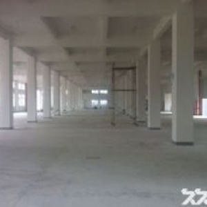 瓯海泽雅戈恬工业区厂房出租2500平