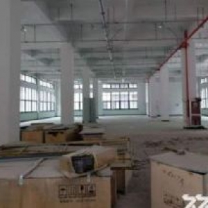 滨海独栋4000平有喷淋地坪漆货梯3吨价格15