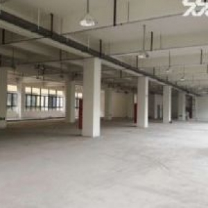 泽雅厂房出租1200平