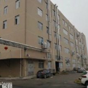 滨海独门独院12000平院子大价格15适合各种不污染行业