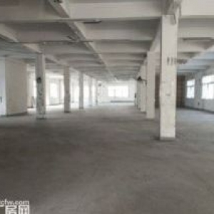 炬光园标准厂房3000平方，可用