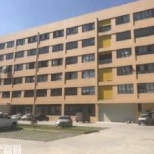 上汇工业区 一楼1200平方，高7米