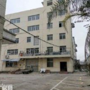 文昌路8400方 两栋 一楼店面 位置好 宜各行业需要