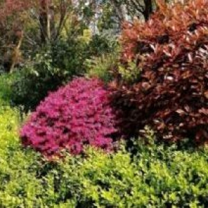 出售：盐盘工业区厂房8.7亩建筑面积13000平方