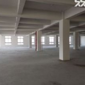 售滨海全新小薇园车间1&minus;5层6300平宿舍760平电梯5吨承重800公斤首付3成