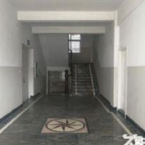 状元占地4.2亩，建筑4800平，形象好，宜办公、生产