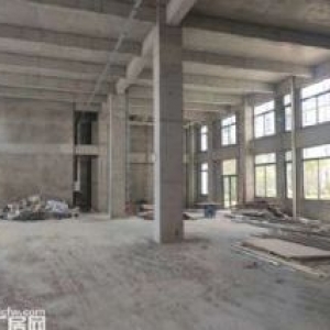 极致稀缺的2层厂房出售，楼上楼下和560平，高新优先