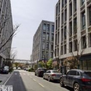 稀缺独栋标准厂房，只招优质企业，品牌开发商直招，您的邻居均为科技型知名企业