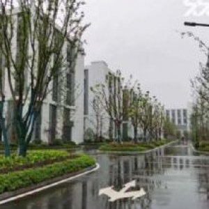 高新区一二楼厂房出售，楼上楼下各800平，可环评有行车