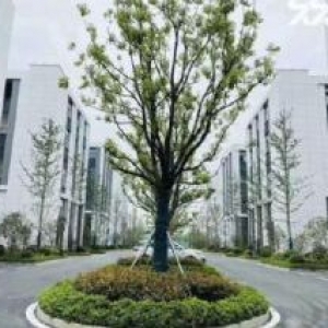 国土两证齐全，小面积楼上厂房出售可环评有货梯