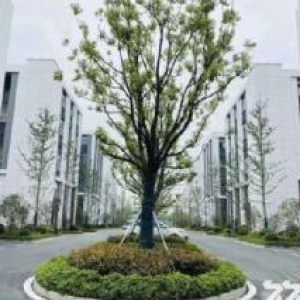 一二楼厂房出售，楼上楼下各700平，可装行车