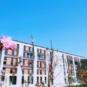 产业园区招商，新建厂房出售，国有土地50年产权，产证齐全