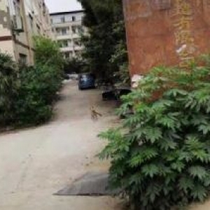 重庆巴南区小泉自由村自建厂房出租