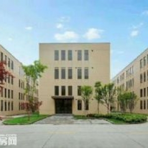 开发商租售 同兴周边标准厂房 附赠车位 可享政策