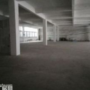 出租南岸区茶园新区1楼1200平标准厂房